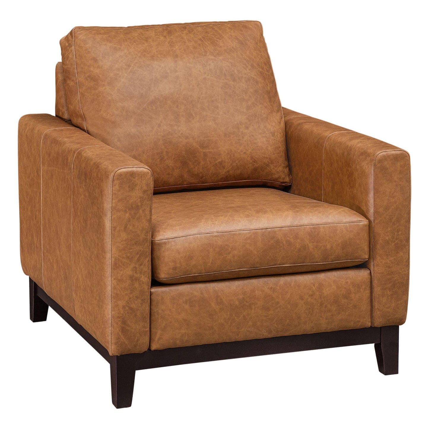 The Saguaro Crest Leather Club Chair
